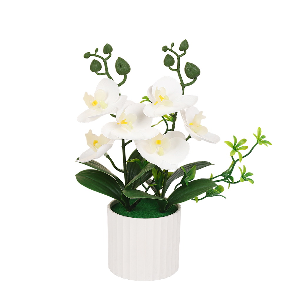 White Moth Orchid Artificial Flowers for Indoor Garden